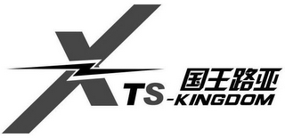 X TS-KINGDOM logo