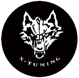 X-TUNING logo