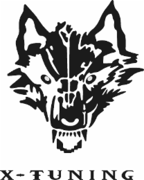 X-TUNING logo