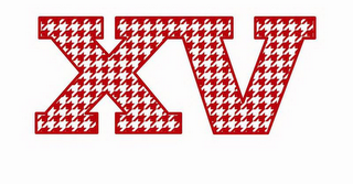 X V logo