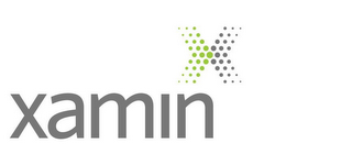 X XAMIN logo