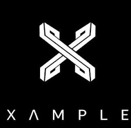 X XAMPLE logo