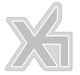 X4 logo