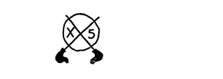 X5 logo