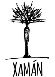 XAMÁN logo