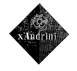 X'ANDRINI logo