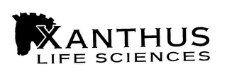 XANTHUS LIFE SCIENCES logo