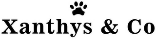 XANTHYS & CO logo