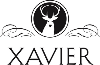 XAVIER logo