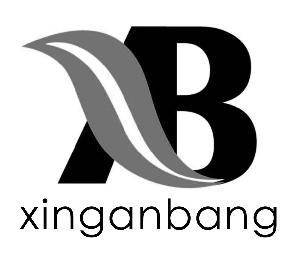 XB XINGANBANG logo