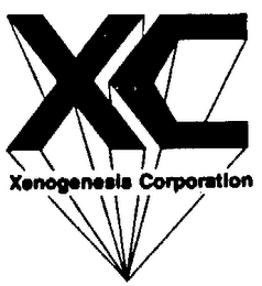 XC XENOGENESIS CORPORATION logo