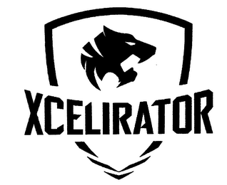 XCELIRATOR logo