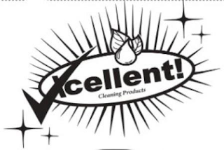 XCELLENT CLEANING PRODUCTS!
