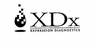 XDX EXPRESSION DIAGNOSTICS logo