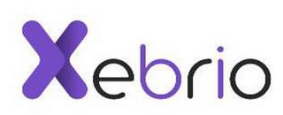 XEBRIO logo