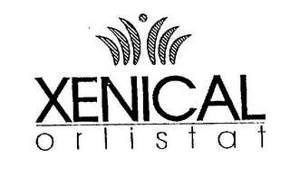 XENICAL ORLISTAT logo