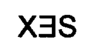 XES logo