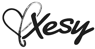 XESY logo