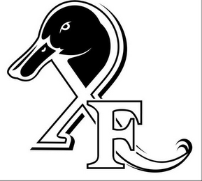 XF logo
