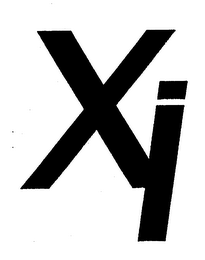 XI logo