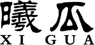 XI GUA logo