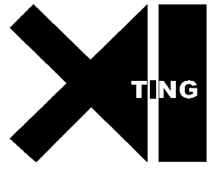 XI TING logo