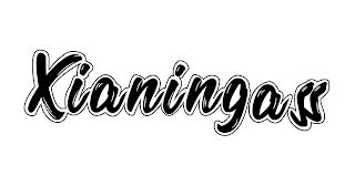 XIANINGASS logo