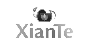 XIANTE logo