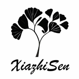XIAZHISEN logo