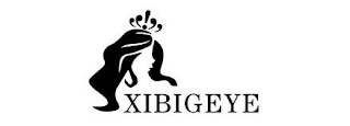 XIBIGEYE logo