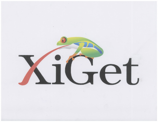 XIGET logo
