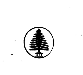 XII logo