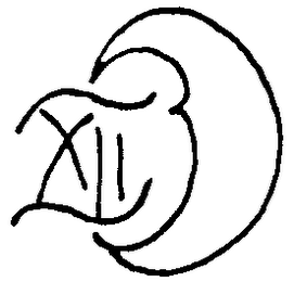 XII logo