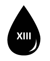 XIII logo