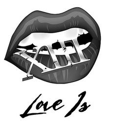 XIII LOVE IS logo