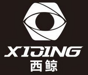 XIJING logo