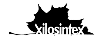 XILOSINTEX logo