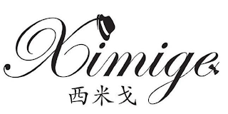 XIMIGE logo