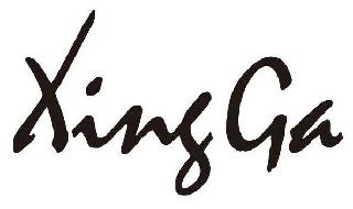 XING GA logo