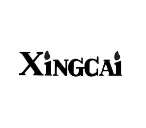 XINGCAI logo