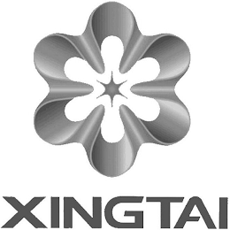 XINGTAI logo