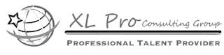XL PRO CONSULTING GROUP PROFESSIONAL TALENT PROVIDER logo