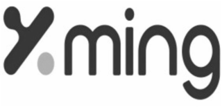 XMING logo