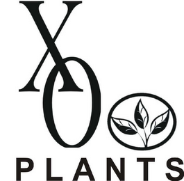 XO PLANTS logo