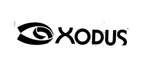 XODUS 19 logo