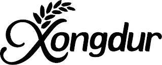 XONGDUR logo