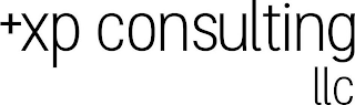 +XP CONSULTING LLC logo