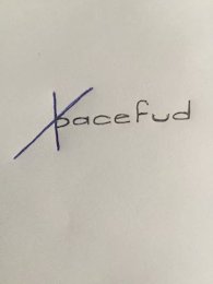 XPACEFUD logo