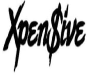 XPEN$IVE logo