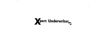 XPERT UNDERWRITER logo